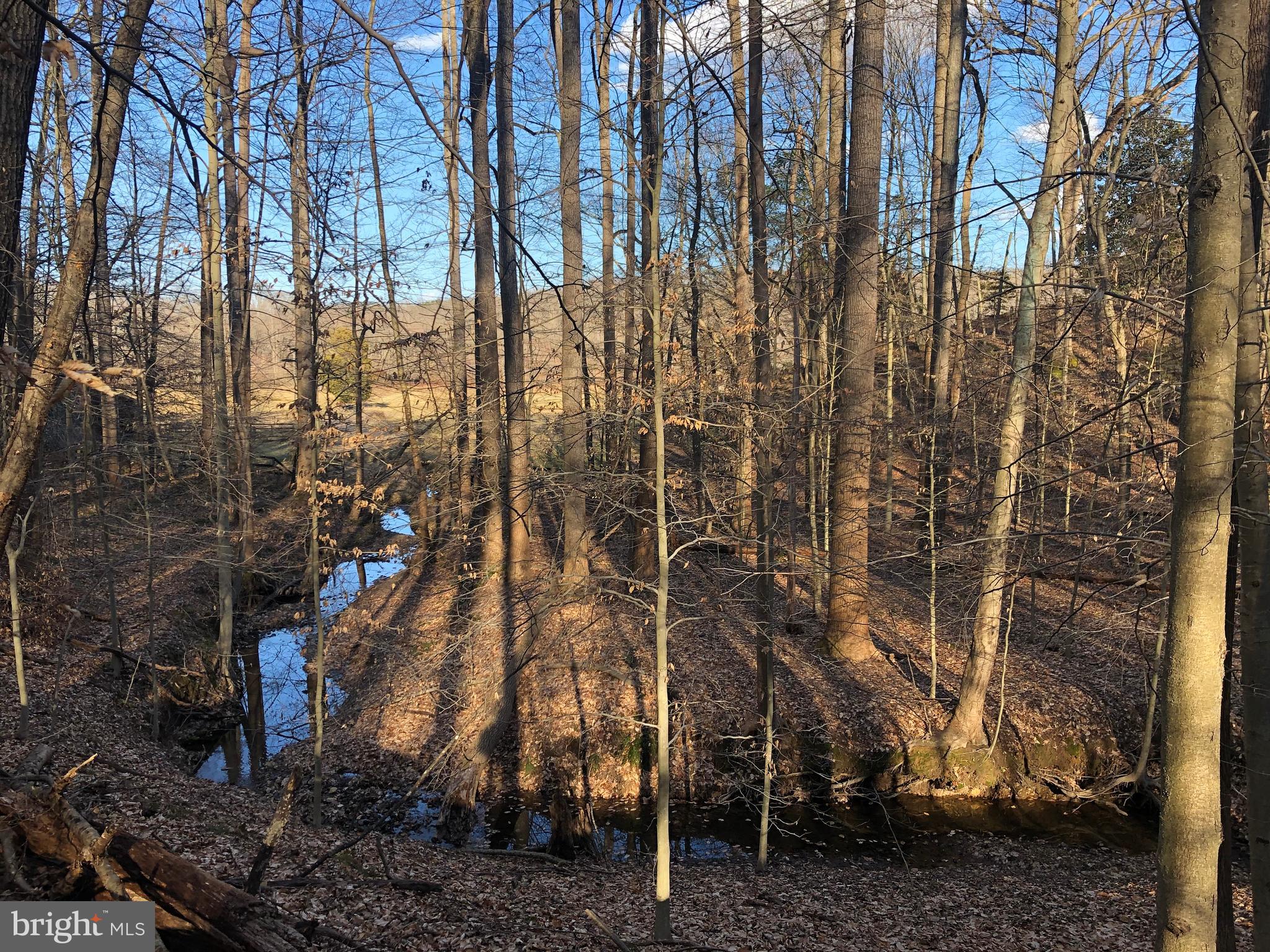 Cold Point Road Clifton, VA 20124 - Photo 8 of 18 STREAM VIEW