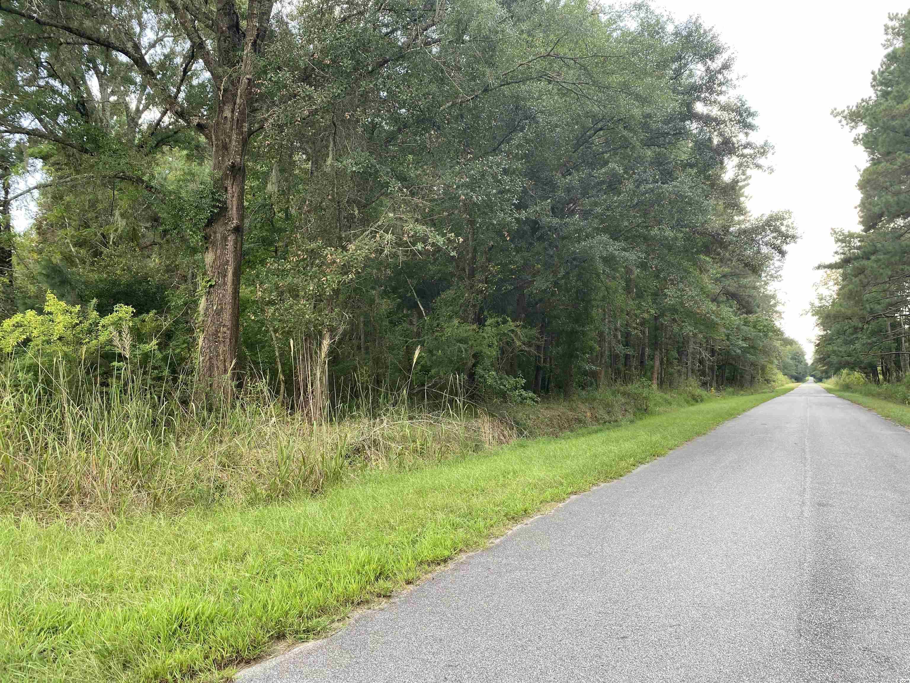 Old Taylor Road Kingstree, SC 29556 - Photo 2 of 17 Gallery Image 2
