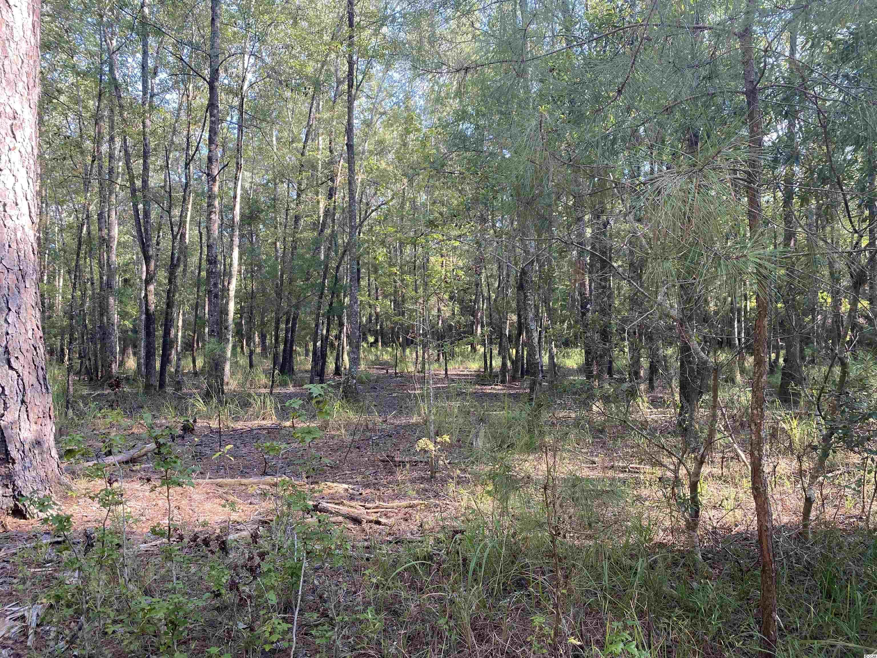 Old Taylor Road Kingstree, SC 29556 - Photo 11 of 17 Gallery Image 11