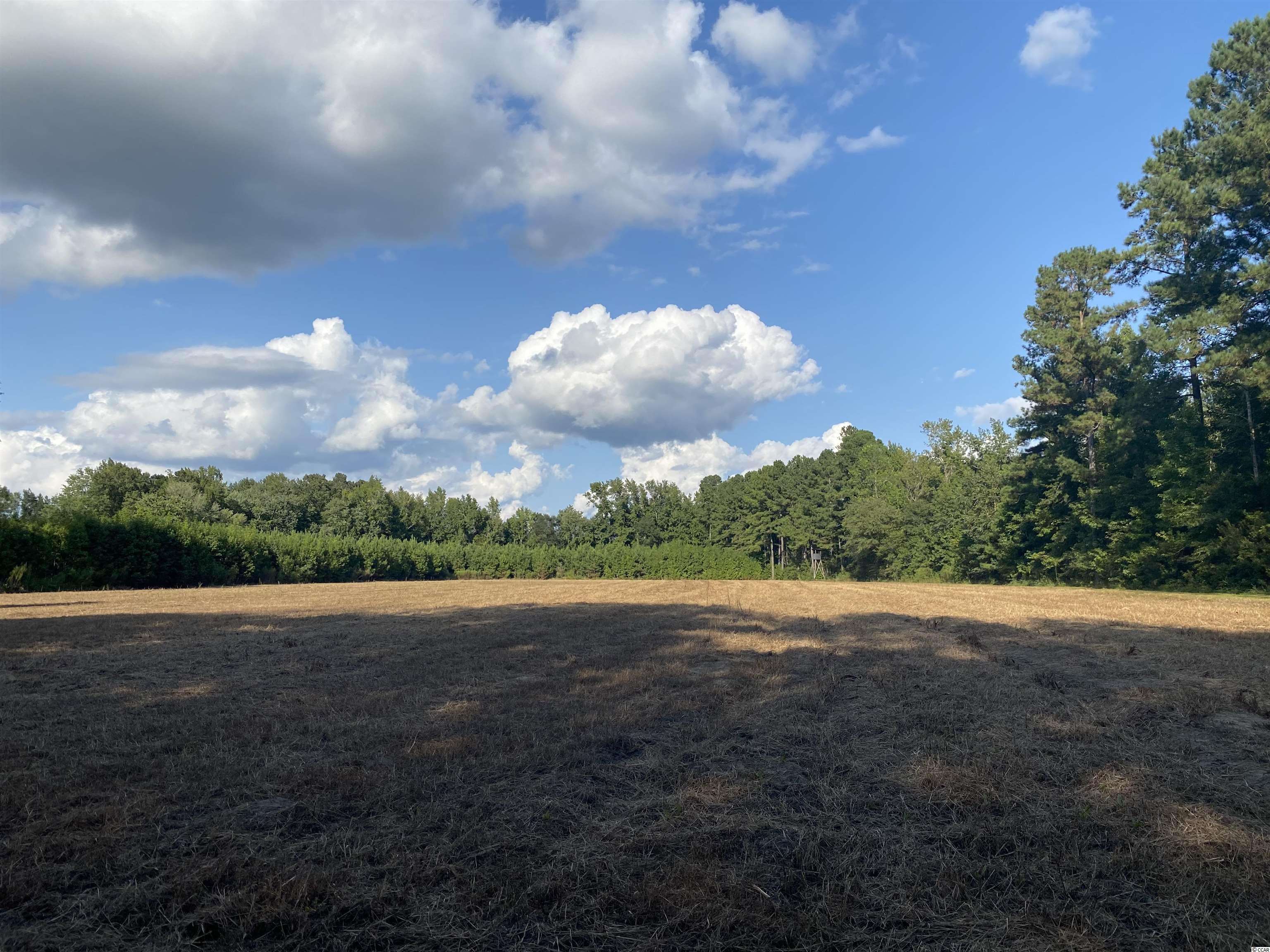 Old Taylor Road Kingstree, SC 29556 - Photo 12 of 17 Gallery Image 12