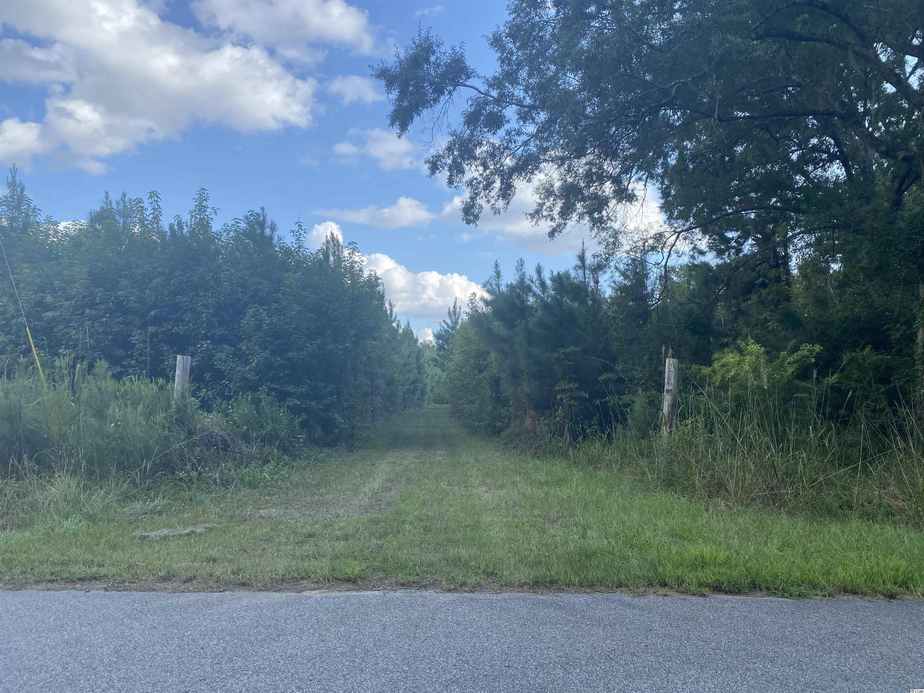 Old Taylor Road Kingstree, SC 29556 - Photo 3 of 17 Gallery Image 3
