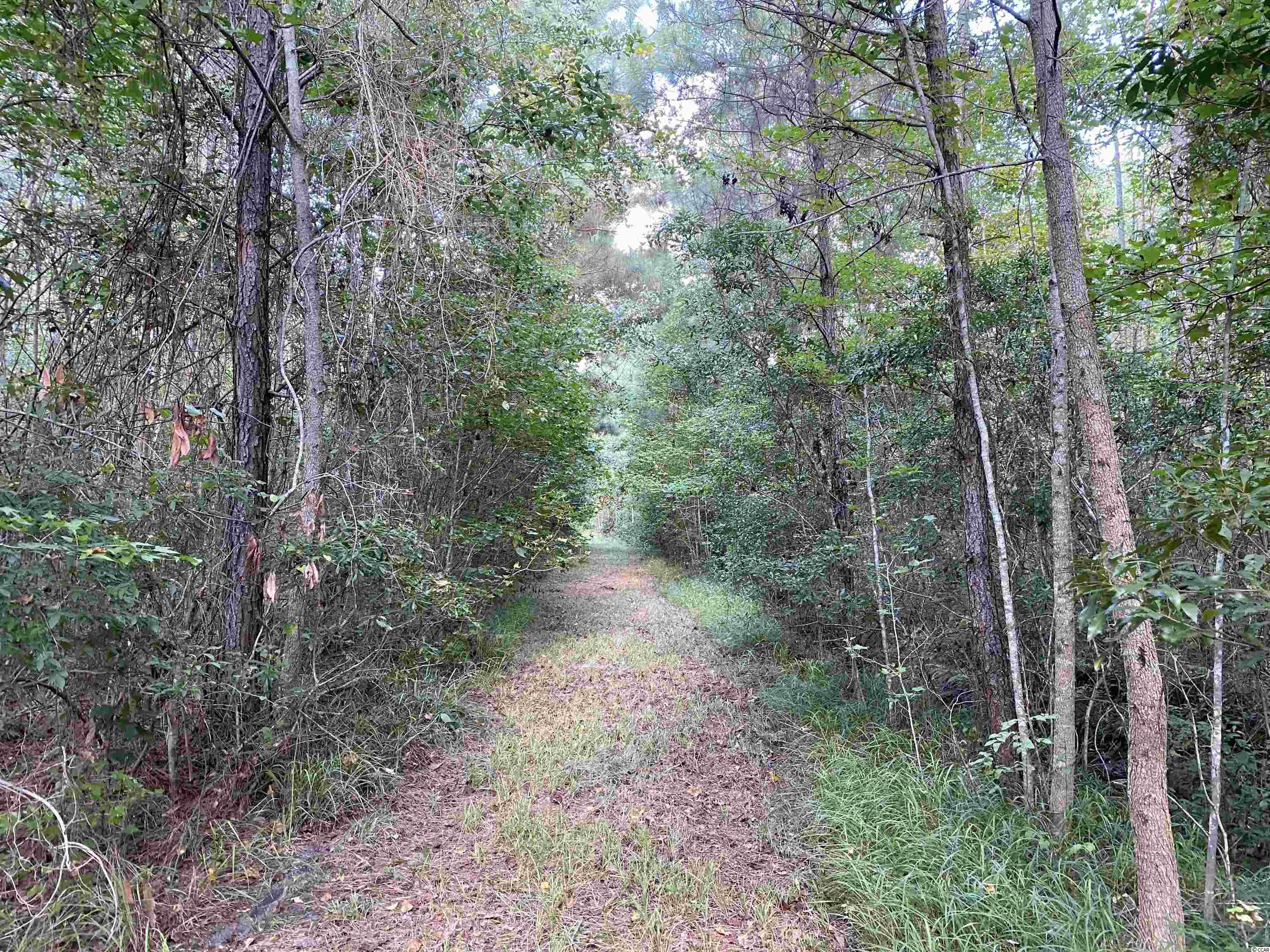 Old Taylor Road Kingstree, SC 29556 - Photo 4 of 17 Gallery Image 4
