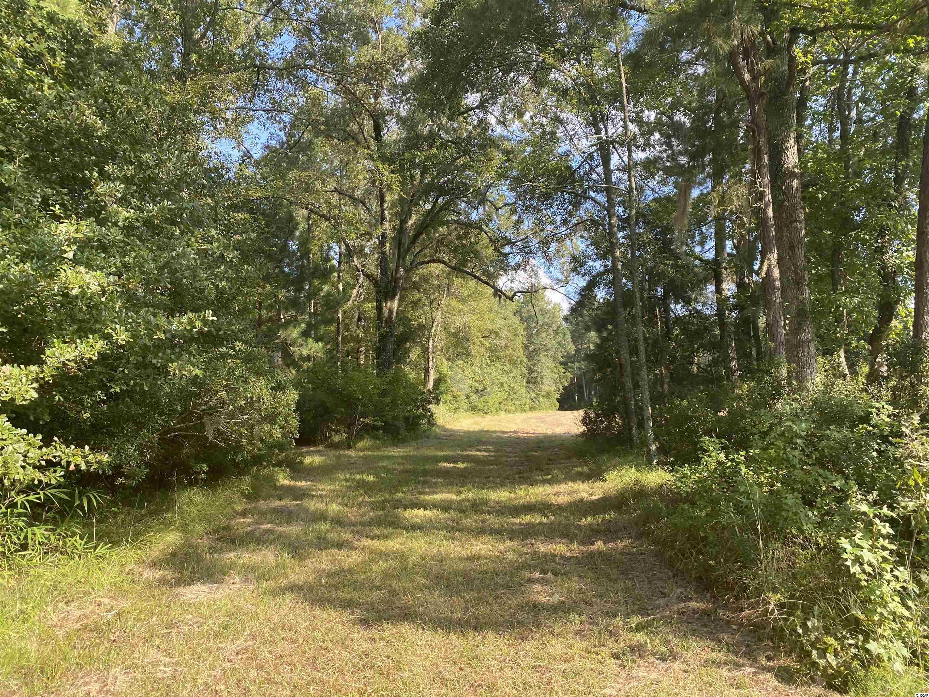 Old Taylor Road Kingstree, SC 29556 - Photo 6 of 17 Gallery Image 6