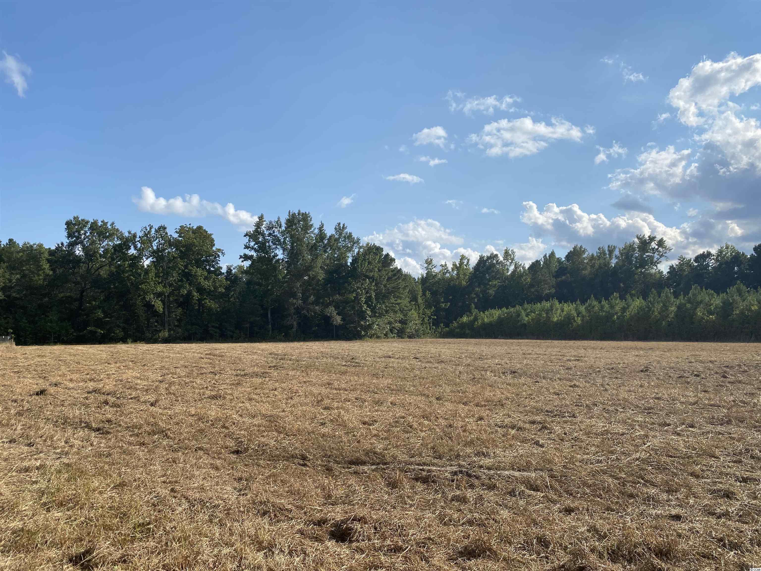 Old Taylor Road Kingstree, SC 29556 - Photo 7 of 17 Gallery Image 7