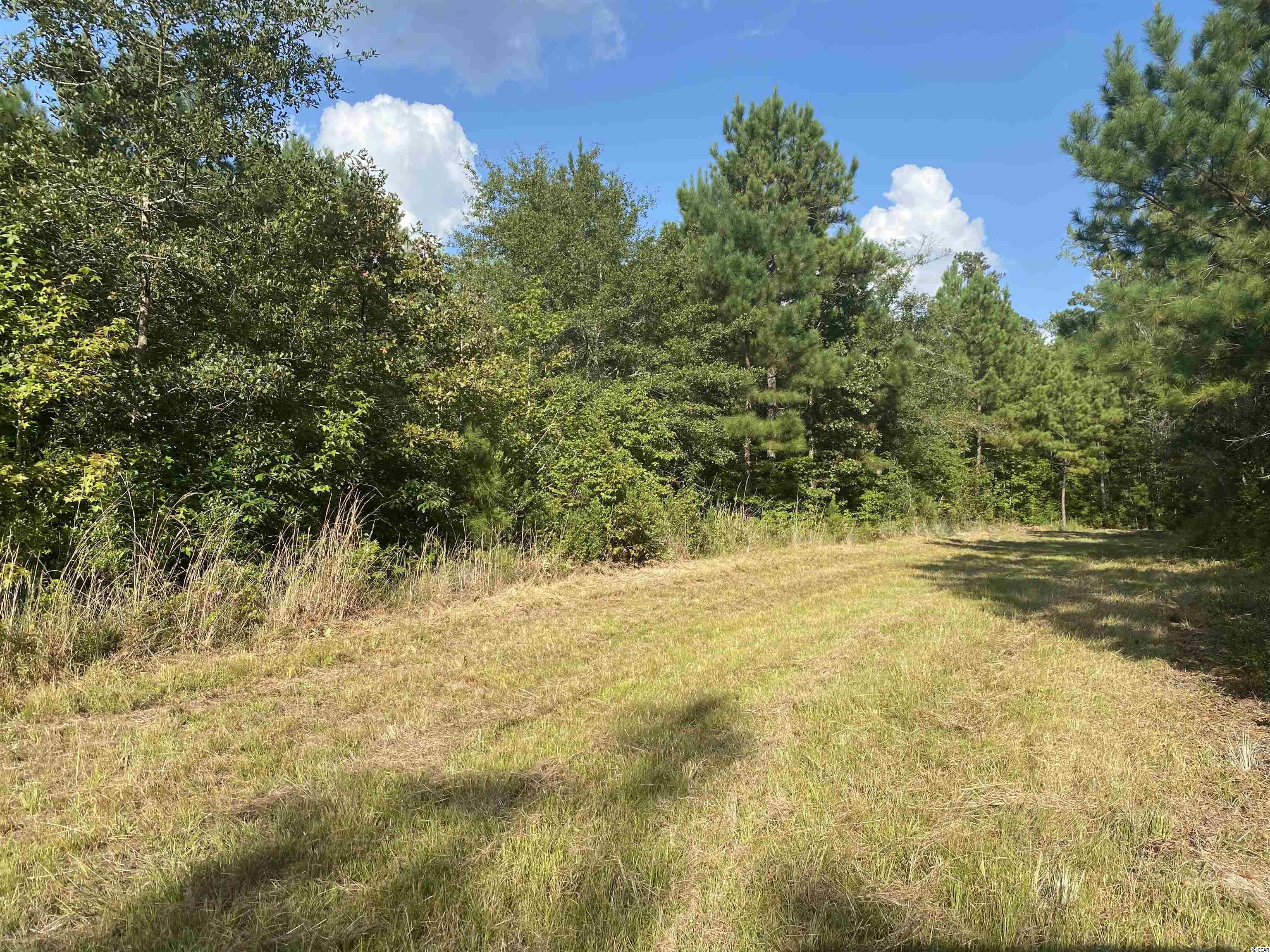 Old Taylor Road Kingstree, SC 29556 - Photo 9 of 17 Gallery Image 9