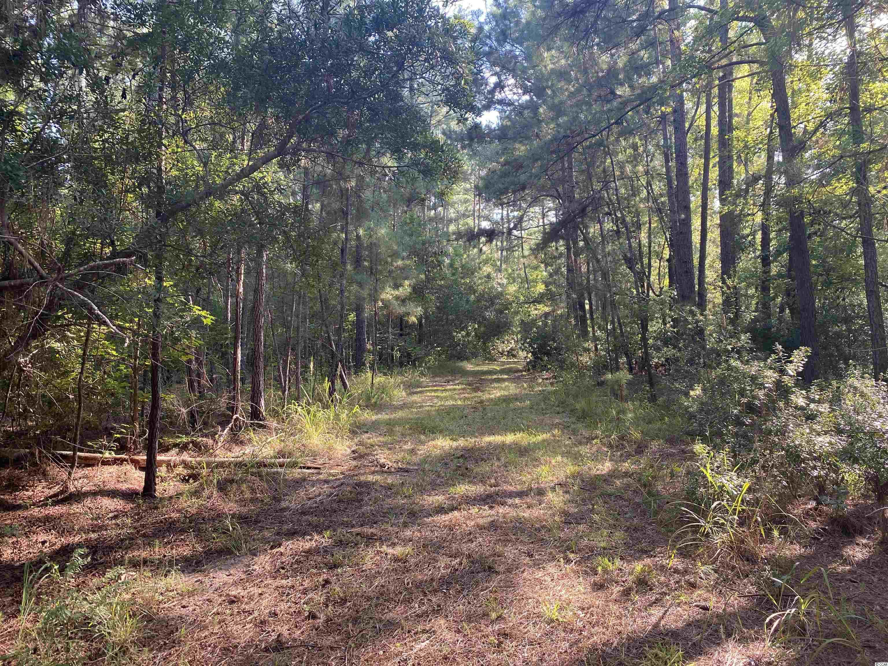 Old Taylor Road Kingstree, SC 29556 - Photo 10 of 17 Gallery Image 10