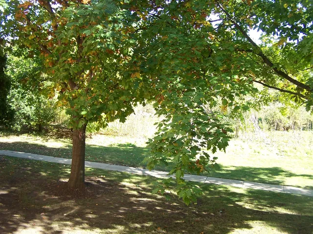 $138,000 | 4302 West Shamrock Lane, Unit 2G, McHenry, IL 60050