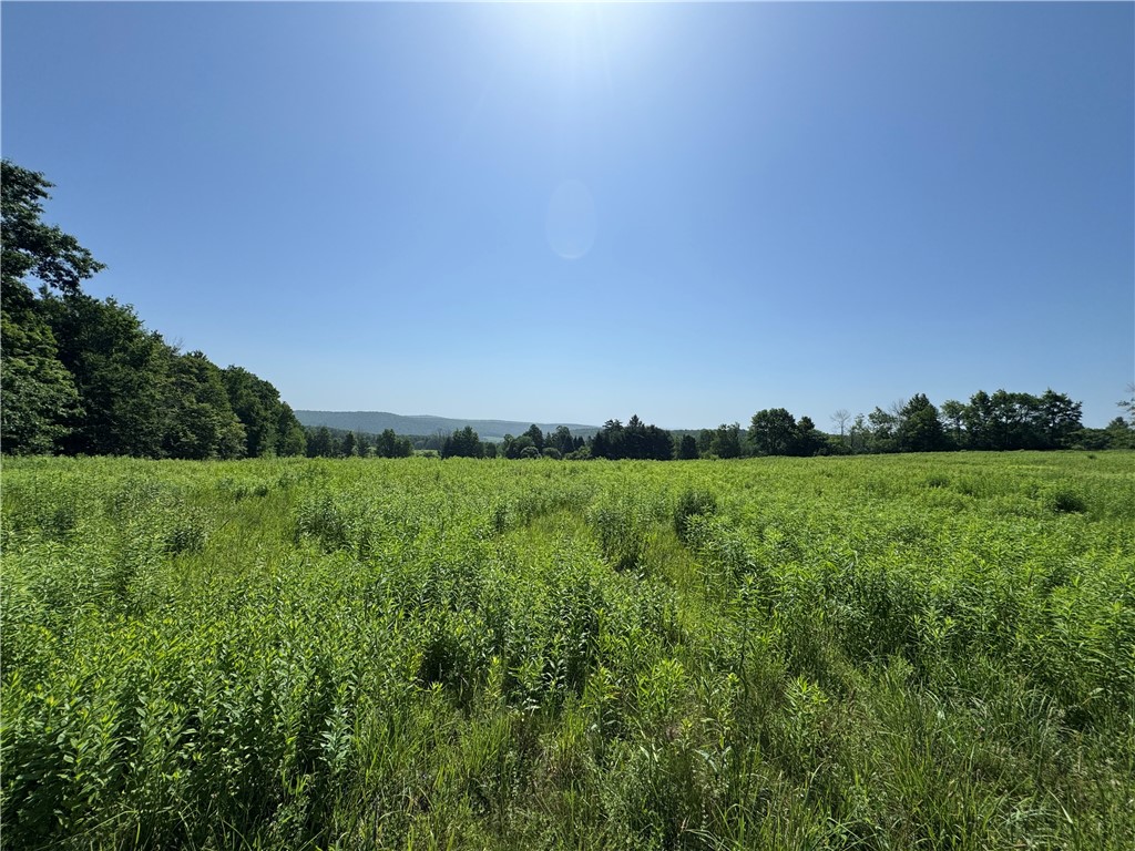 Wilbur Hill Road Unadilla, NY 13849 - Photo 1 of 7