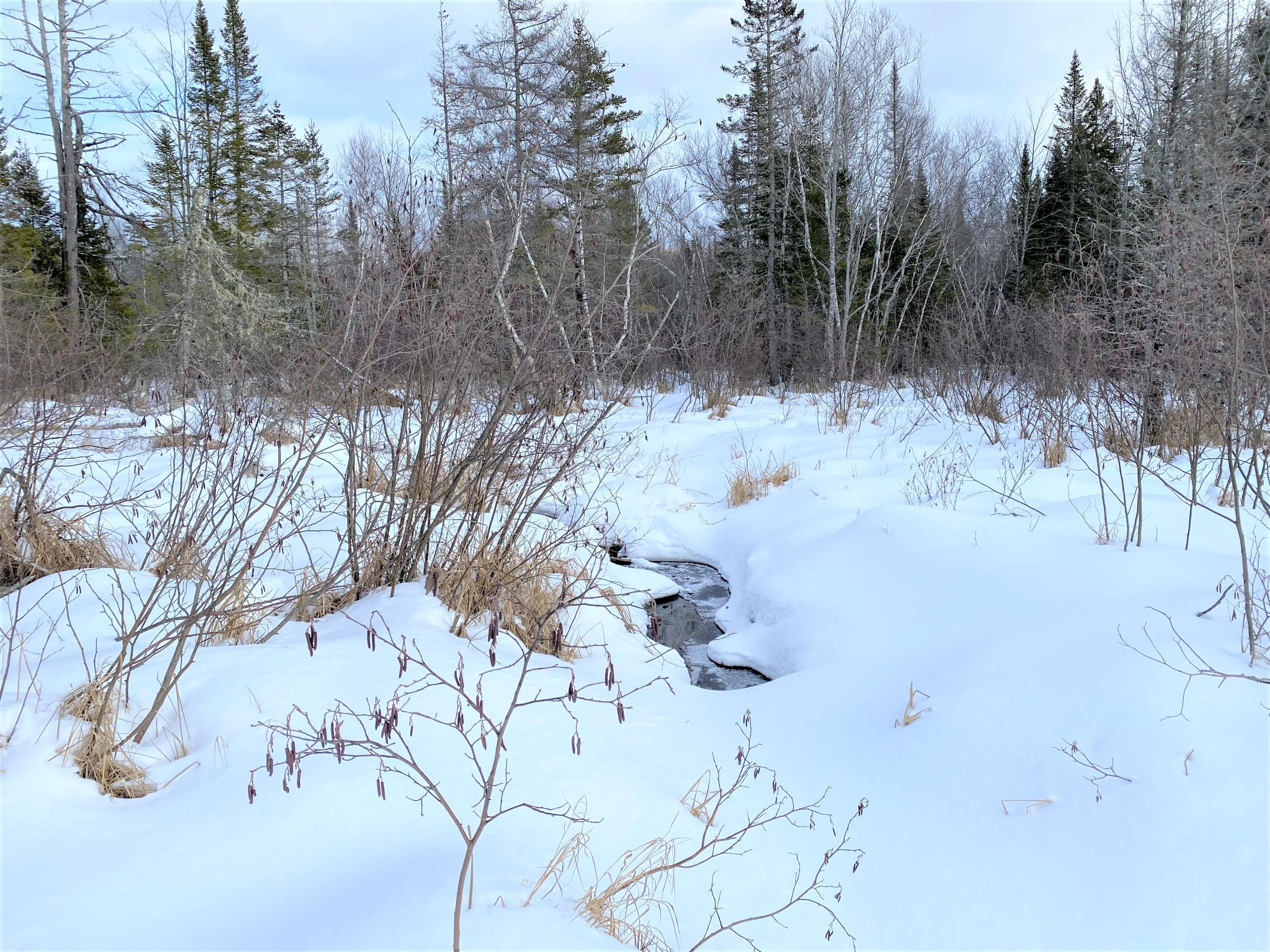 0 Fogg Brook Road Burlington, ME 04417 - Photo 20 of 25 IMG_2578