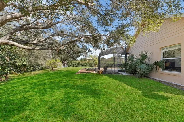 a view of a park with large trees