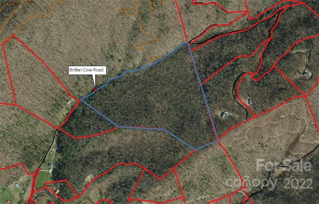 Tbd Britten Cove Road Weaverville, NC 28787 - Photo 2 of 10 Gallery Image 2