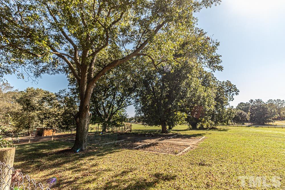 1409 Frazier Road Spring Hope, NC 27882 - Photo 27 of 28 a view of a yard with trees