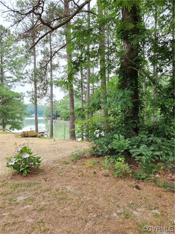 446 Hideaway Point Road Topping, VA 23169 - Photo 15 of 22 a view of a yard with plants and large trees