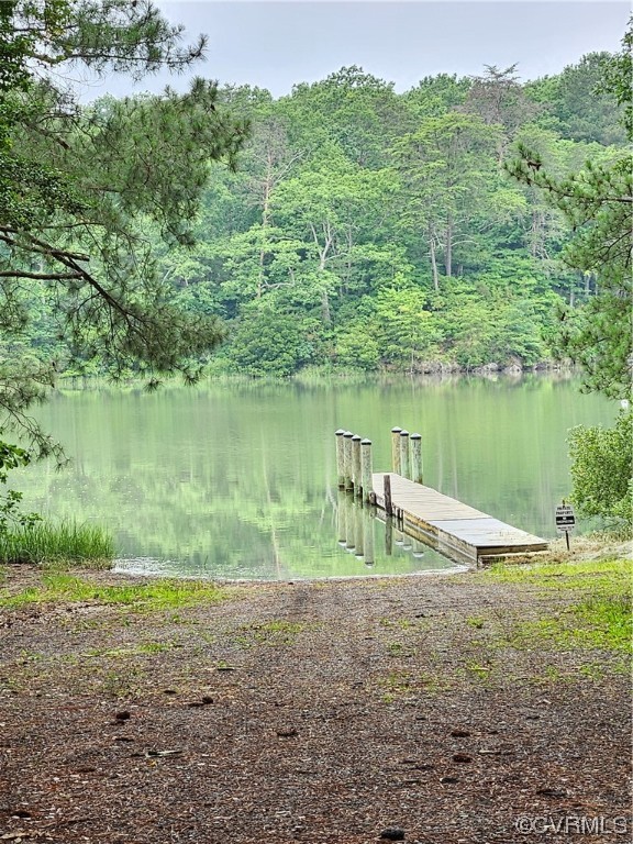446 Hideaway Point Road Topping, VA 23169 - Photo 20 of 22 a view of a lake with a yard and a large tree