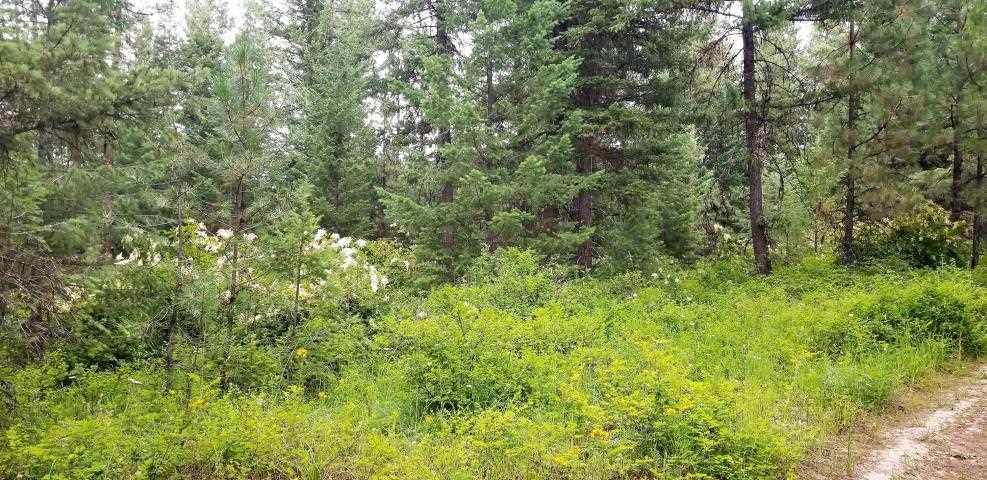 Tbd Rose Hill Road Springdale, WA 99173 - Photo 3 of 9