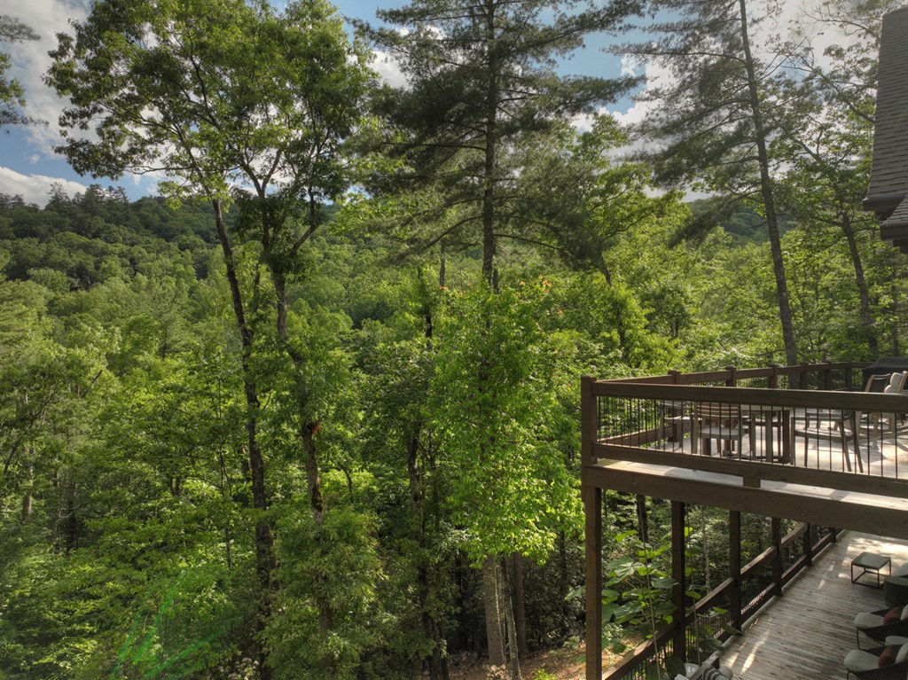 857 Harrison And Ada Road Blue Ridge, GA 30513 - Photo 47 of 55 Gallery Image 47