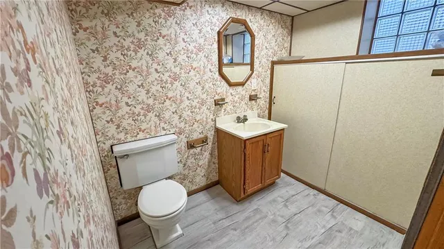 a bathroom with a toilet a sink and a mirror