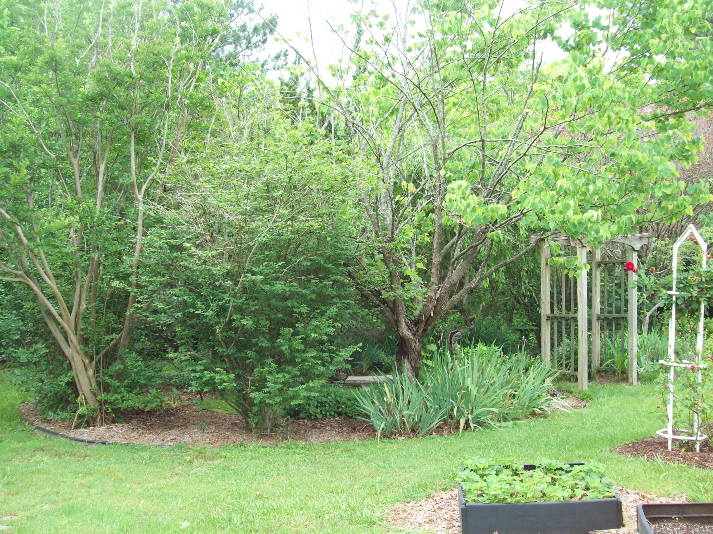 602 Ogden Road Dayton, TN 37321 - Photo 22 of 27 100_5071