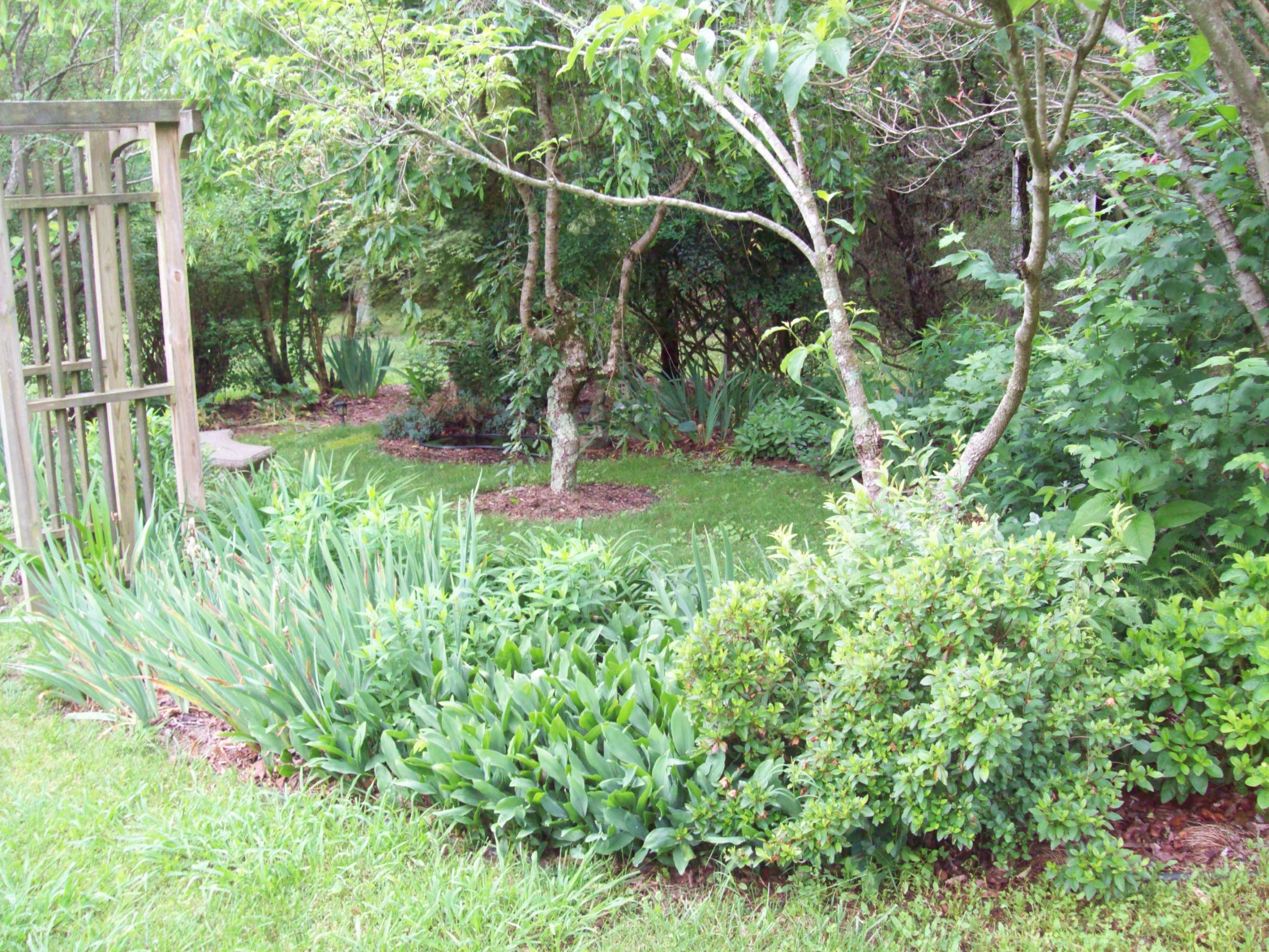 602 Ogden Road Dayton, TN 37321 - Photo 24 of 27 100_5075