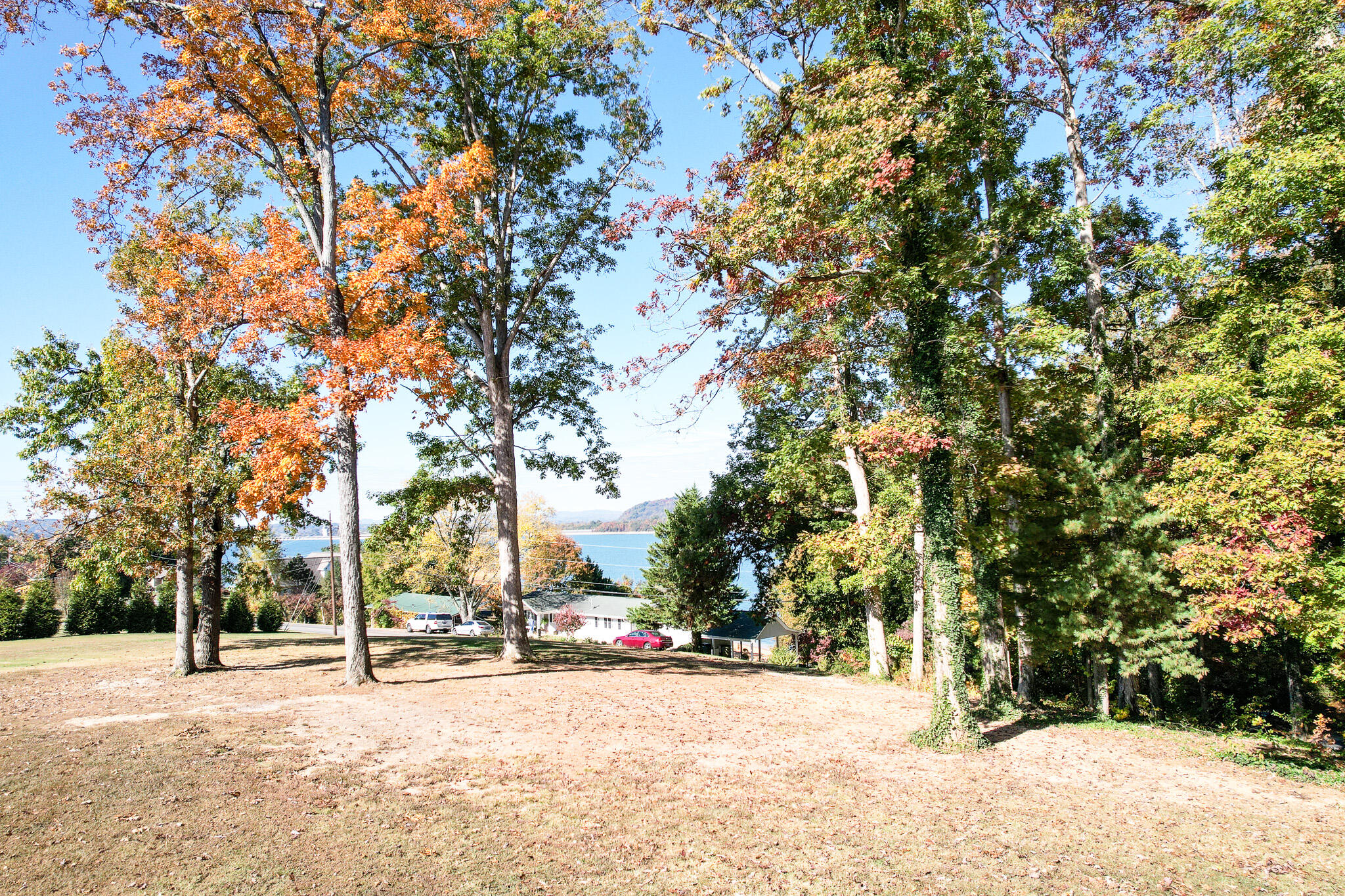 2887 Lake Forest Circle Talbott, TN 37877 - Photo 49 of 75 48