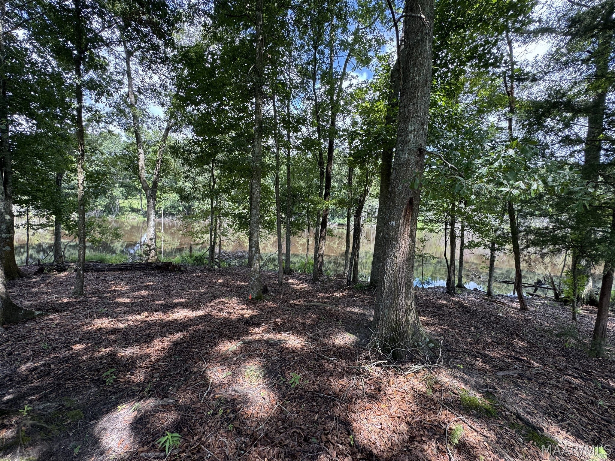 840 Shamrock Road Luverne, AL 36049 - Photo 41 of 75 Gallery Image 41