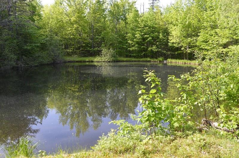 505 Stickney Hill Road Brownville, ME 04414 - Photo 27 of 30 Beautiful Pond