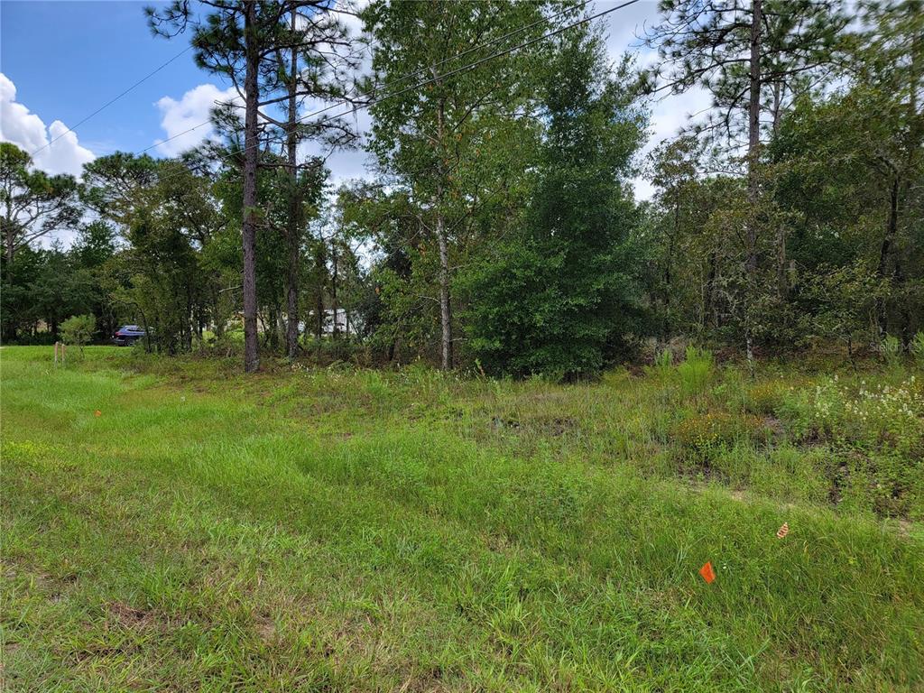 2 Southwest 129th Terrace Road Dunnellon, FL 34432 - Photo 4 of 8 Side shot of Property