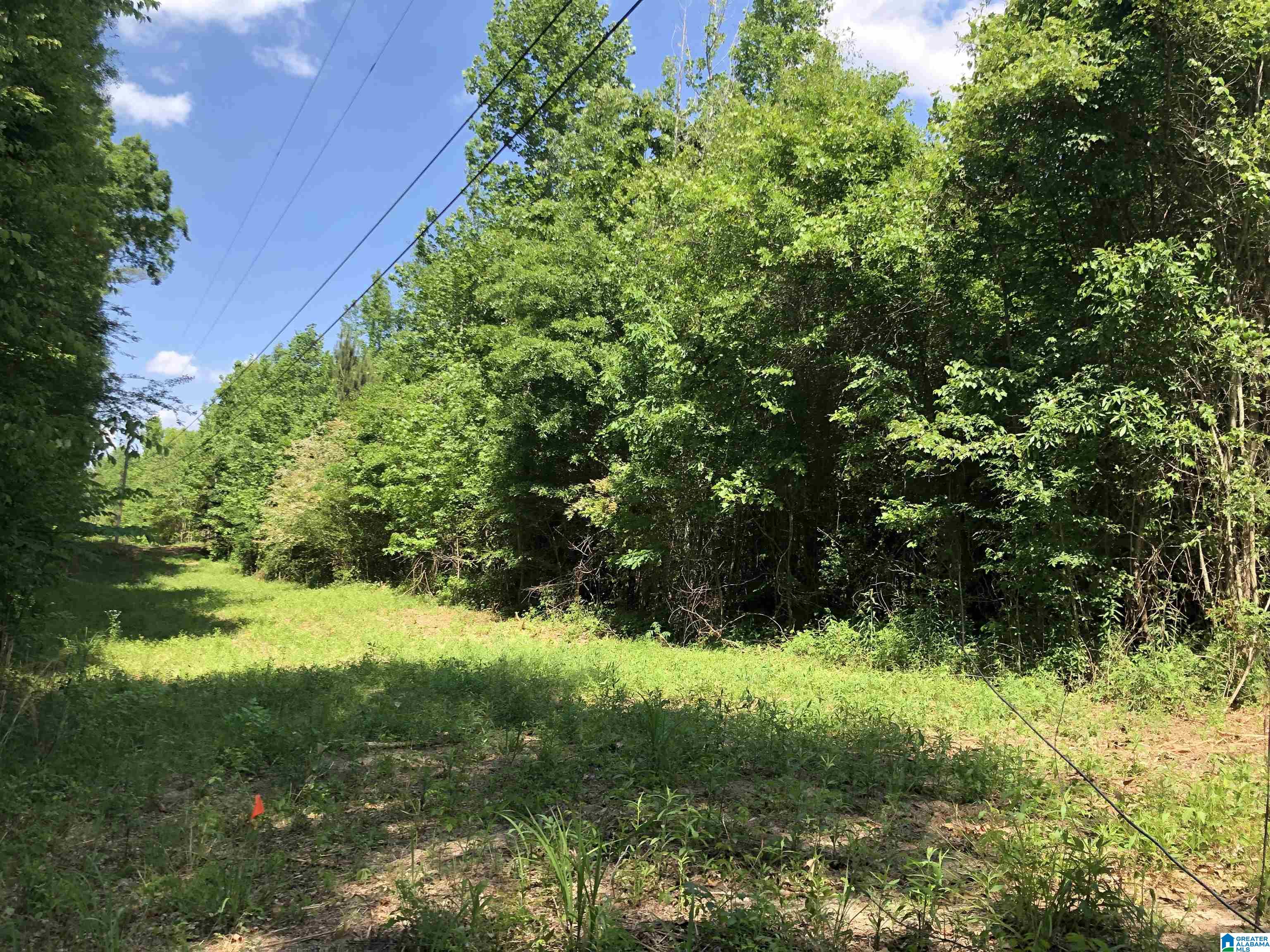 0 Peeks Hill Road, Unit 4 Ohatchee, AL 36271 - Photo 1 of 9