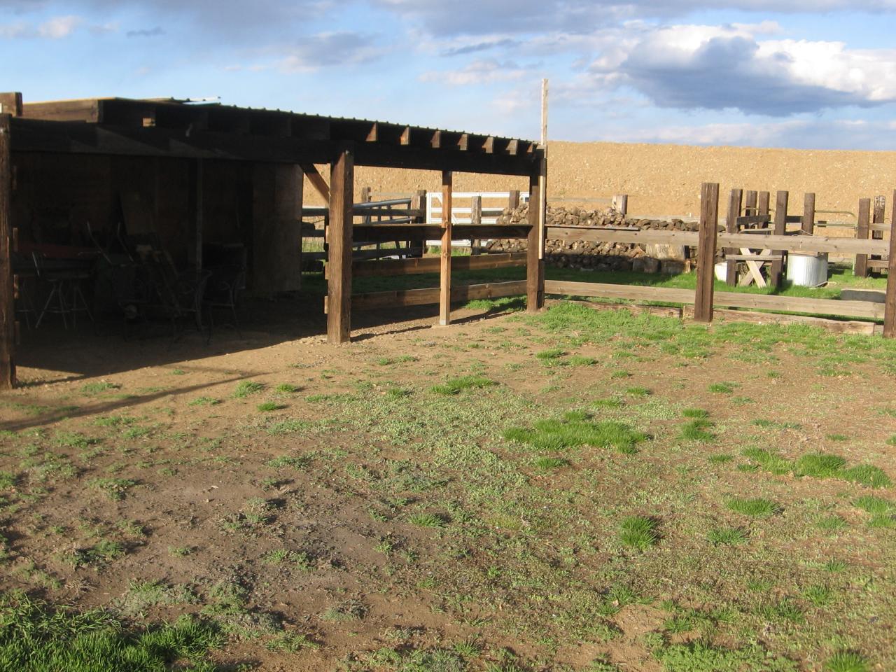 2411 Lateral 1 Road Wapato, WA 98951 - Photo 6 of 12 a view of a backyard