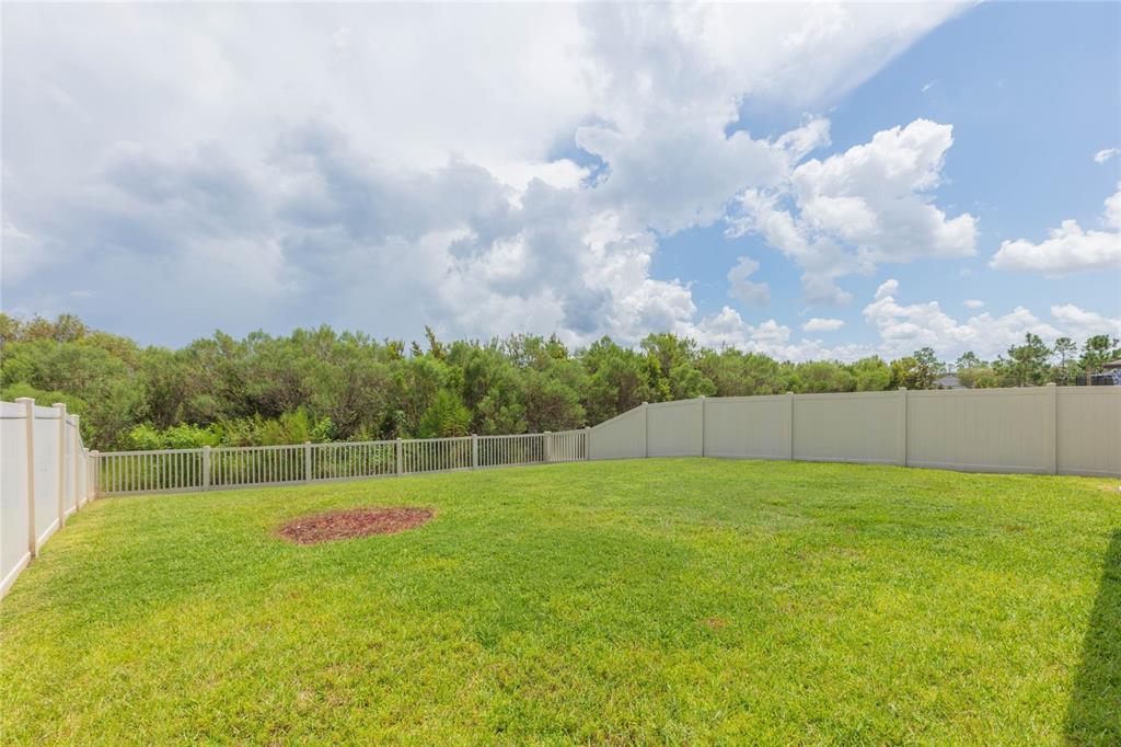 7430 Pool Compass Loop Wesley Chapel, FL 33545 - Photo 46 of 90 Gallery Image 46