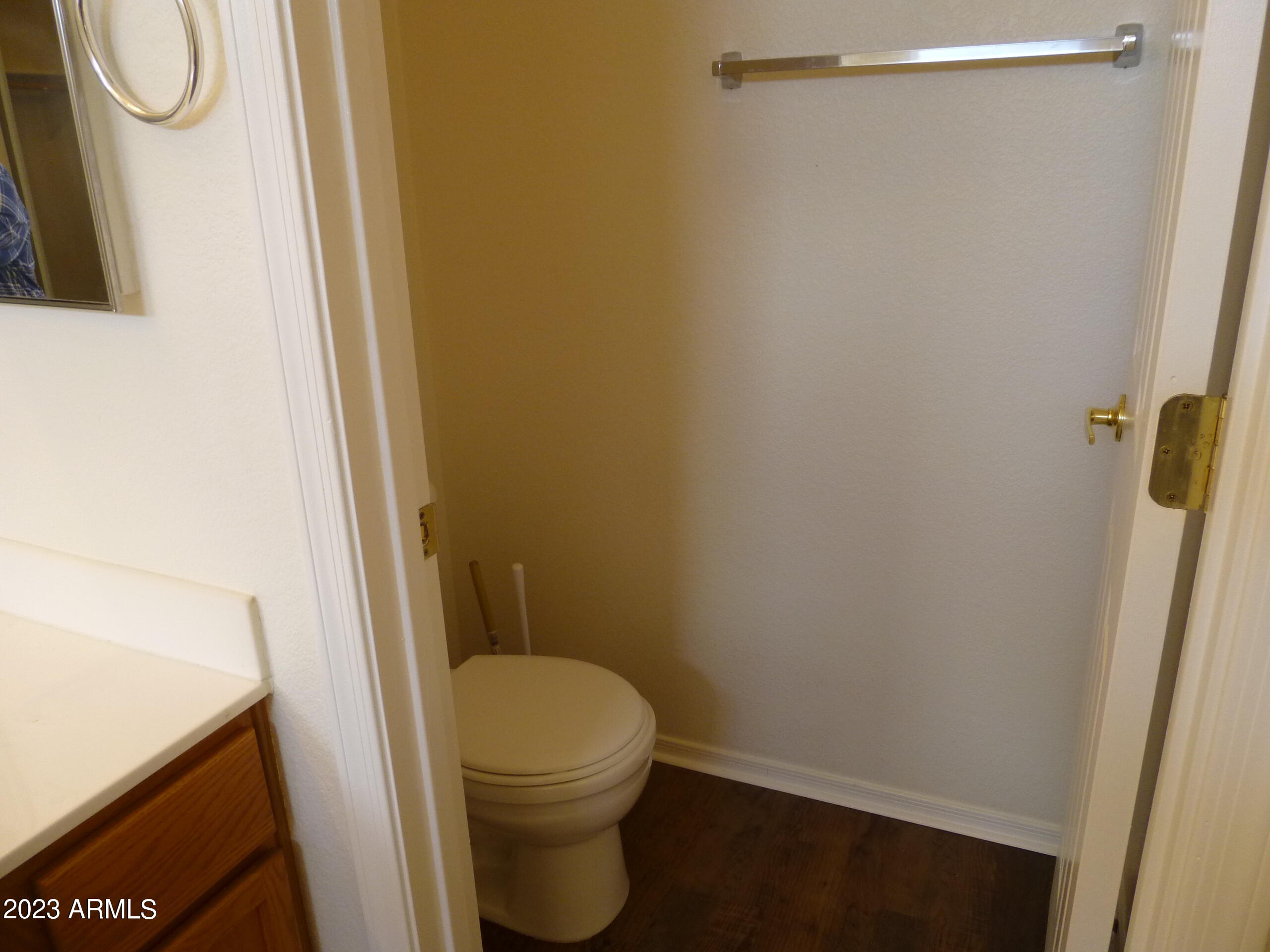 964 South Racine Lane Gilbert, AZ 85296 - Photo 25 of 35 Primary Bathroom
