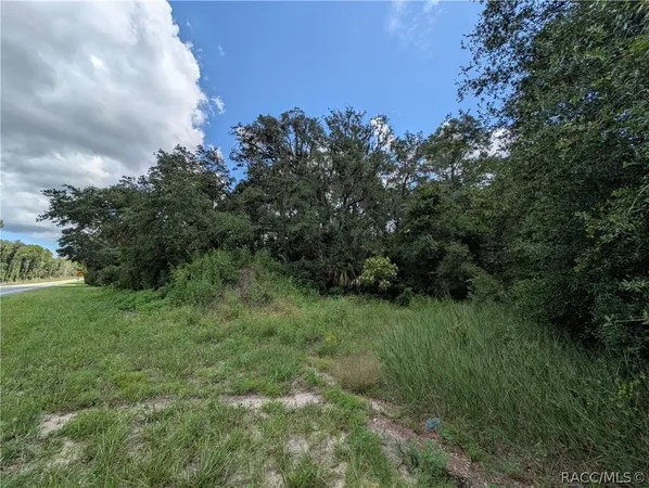 $30,000 | 6451 North Carl G Rose Highway, Hernando, FL 34442
