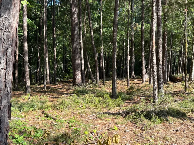 $75,000 | 309 Vista Lane, McCormick, SC 29835