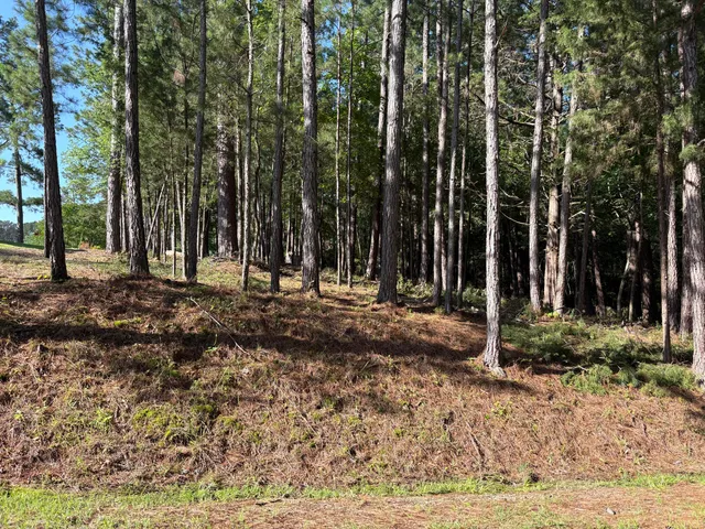 $75,000 | 309 Vista Lane, McCormick, SC 29835