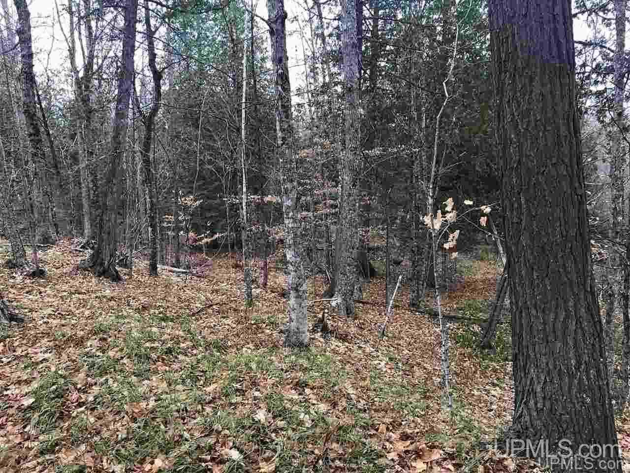 Tbd Off River Road, Unit 2 Hermansville, MI 49847 - Photo 21 of 34