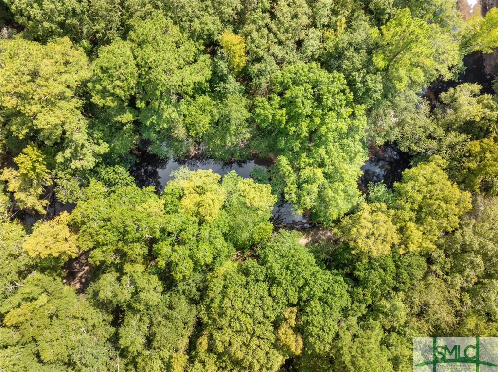 628 Riverside Drive Claxton, GA 30417 - Photo 31 of 33