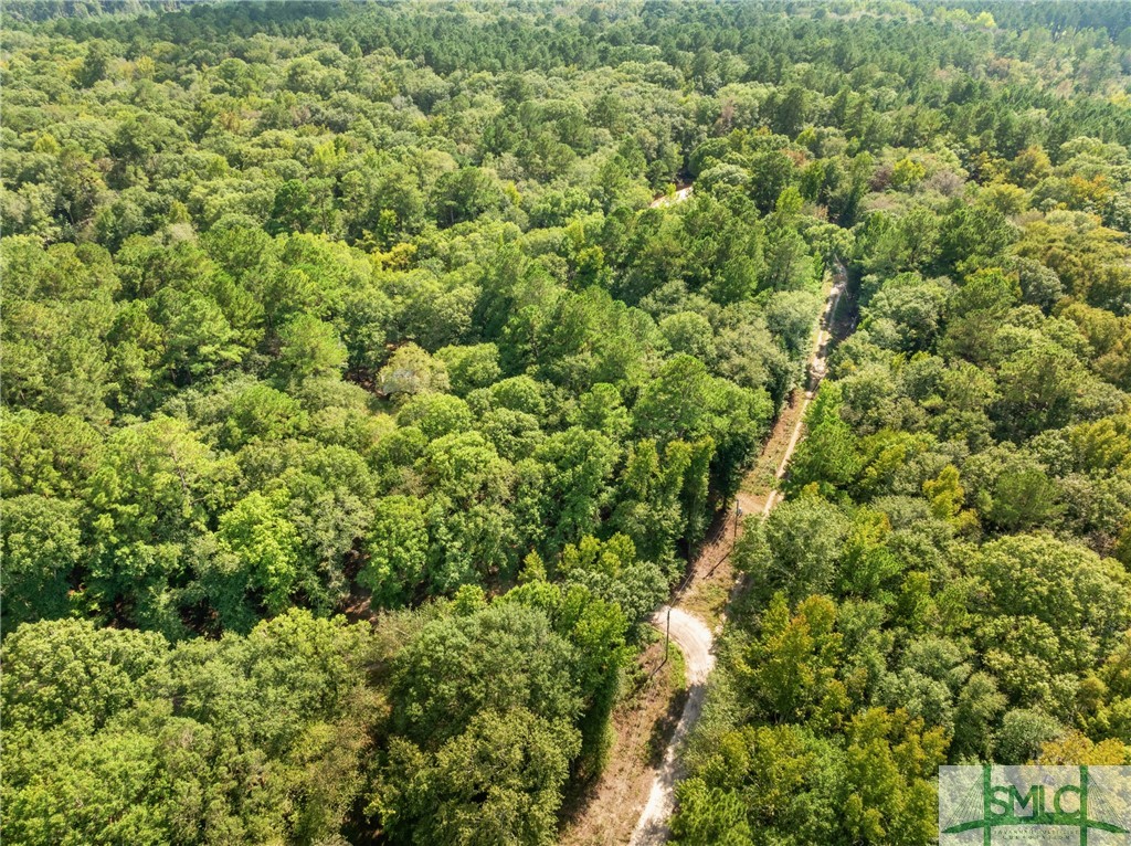 628 Riverside Drive Claxton, GA 30417 - Photo 33 of 33