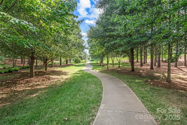 a view of park with trees
