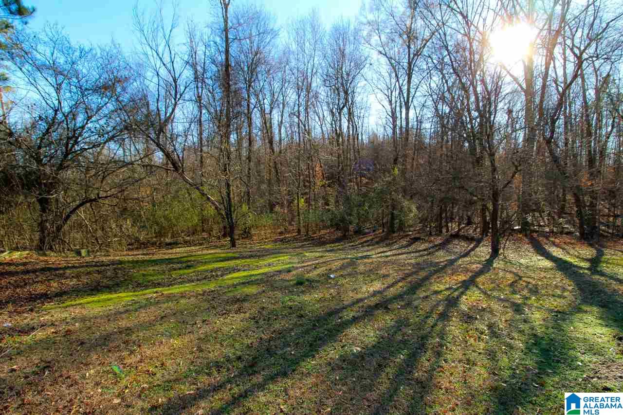 496 Greensport Road Ohatchee, AL 36271 - Photo 24 of 30