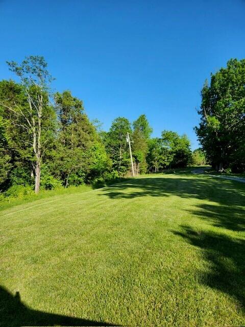 343 Jacobs Road Brooksville, KY 41004 - Photo 2 of 14 Gallery Image 2