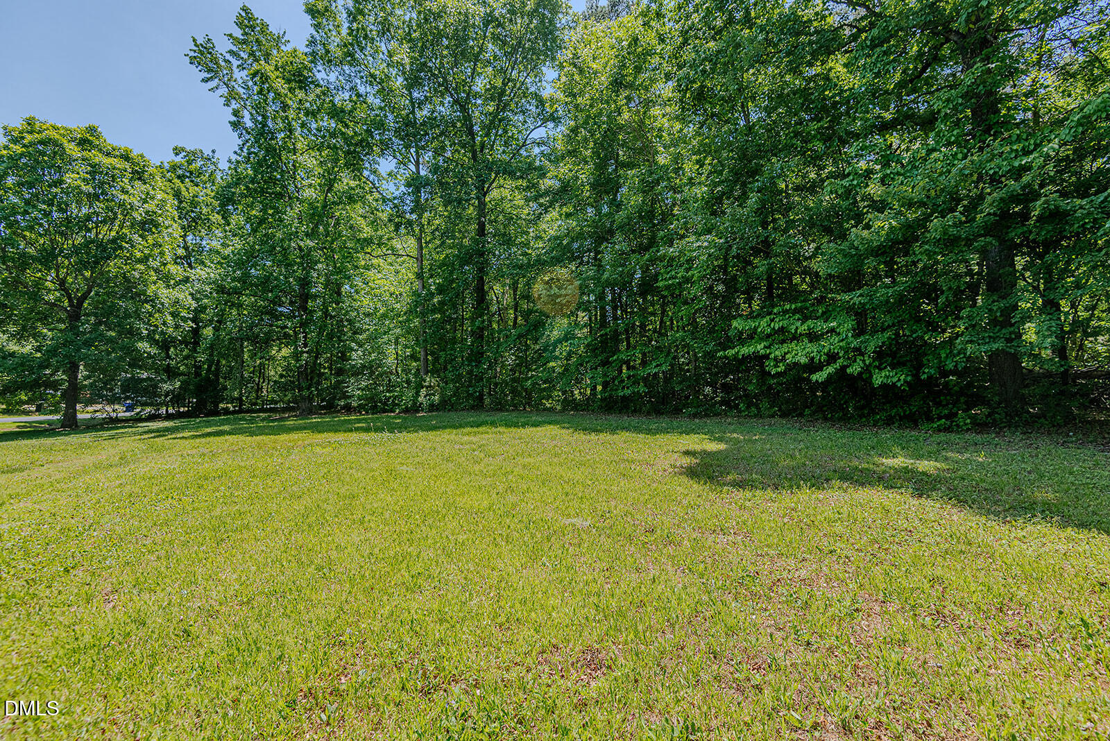 1302 Blacksmith Road Efland, NC 27243 - Photo 35 of 46 a view of a yard