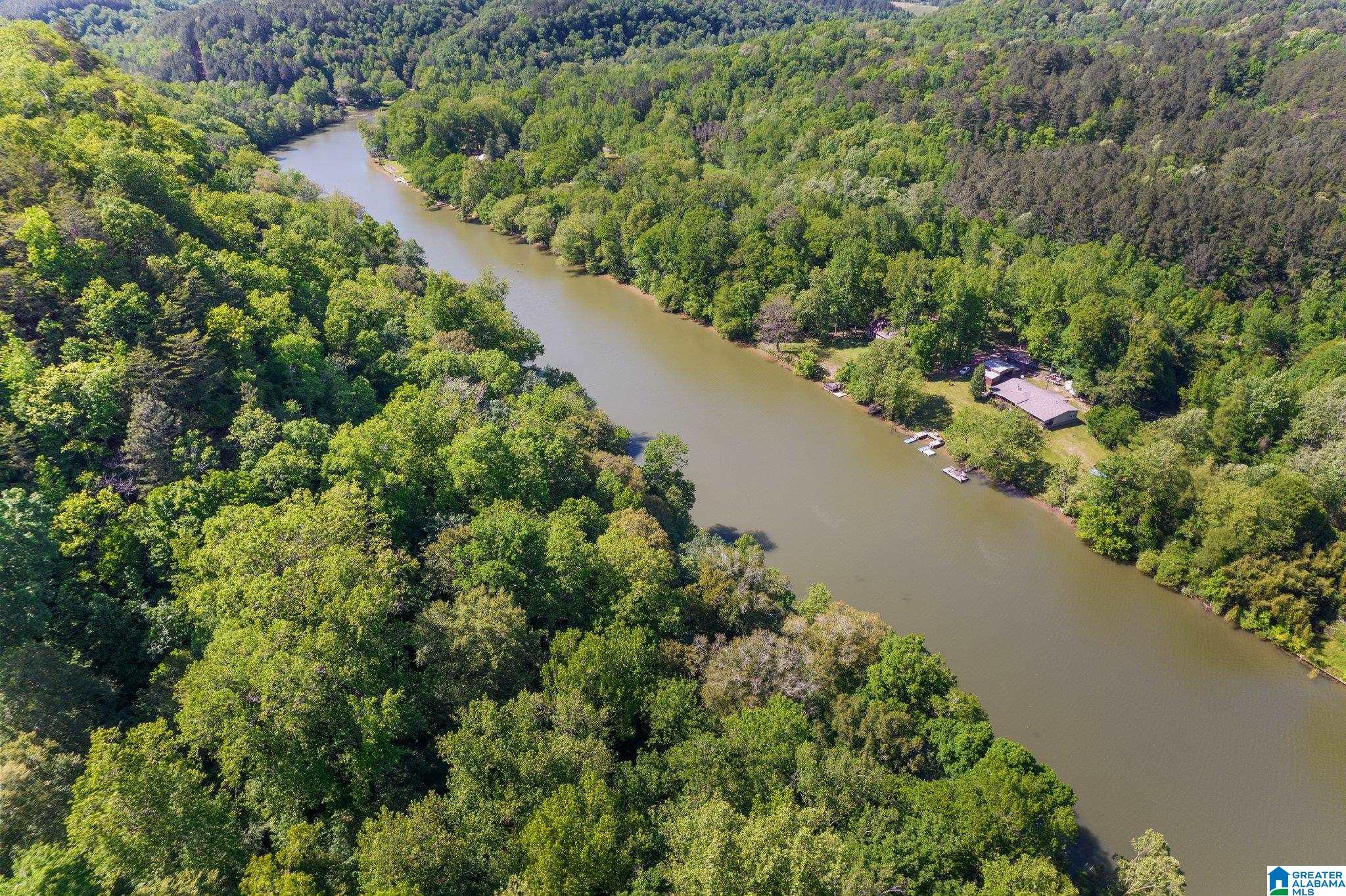 319 Washington Fish Camp Road Quinton, AL 35130 - Photo 30 of 31