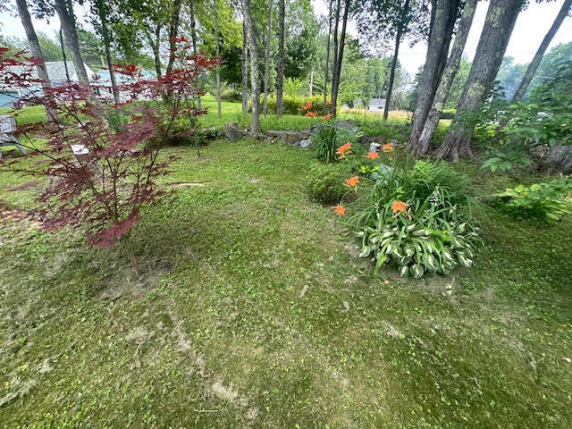 28 Back Searsport Road Belfast, ME 04915 - Photo 55 of 55 unnamed (18)