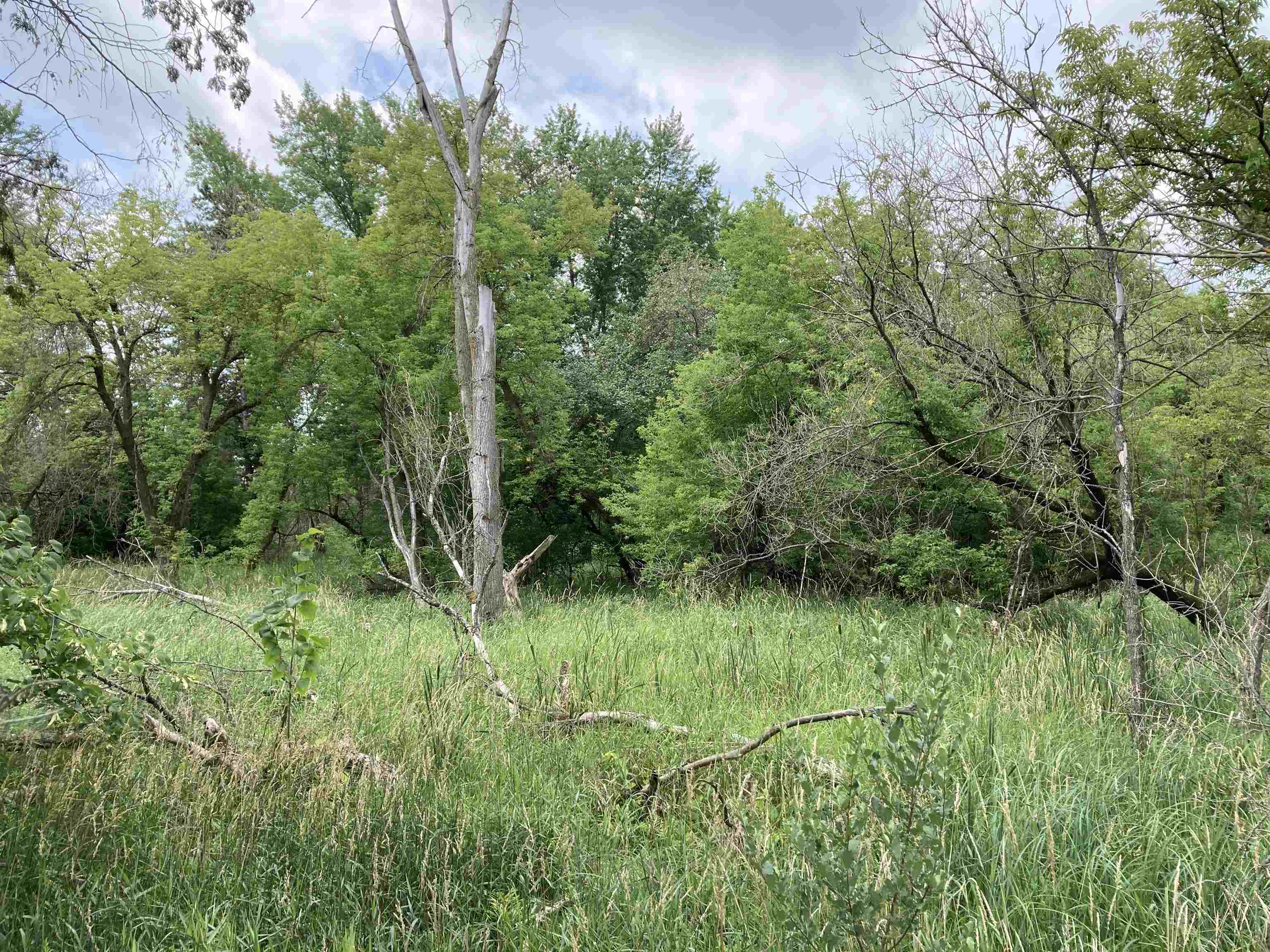 N/a Beachwood Road Rose City, MI 48654 - Photo 9 of 20 1947885-BA99C556-D399-4123-AE08-F7A883431F62.JPG