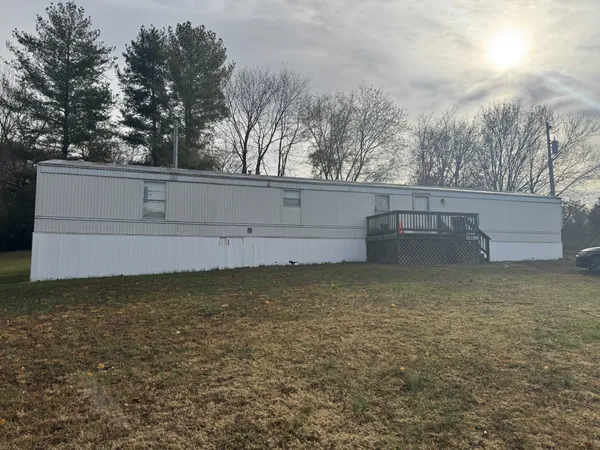 a view of backyard and tree