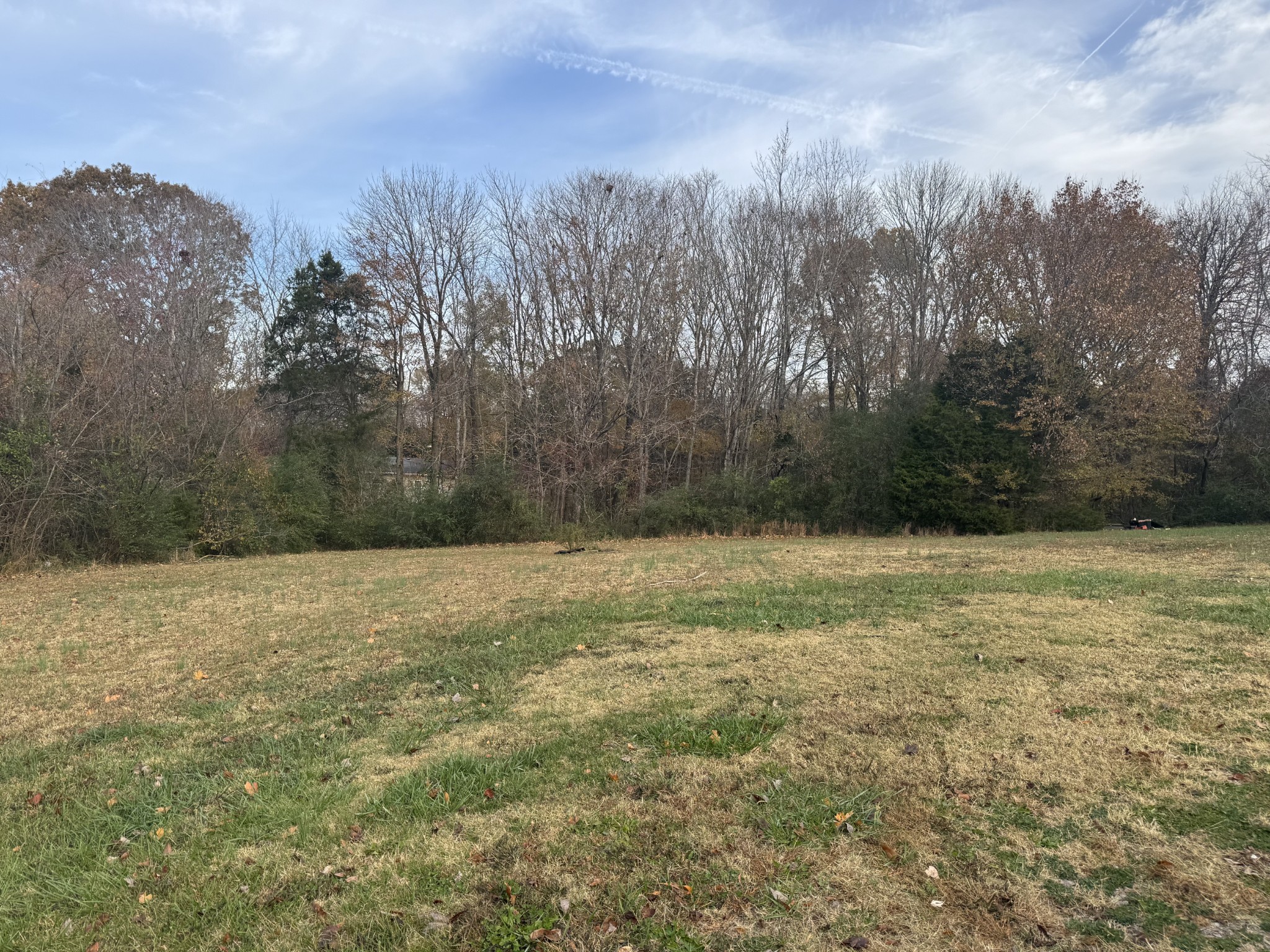 3020 West County Farm Road Springfield, TN 37172 - Photo 4 of 10 a view of a yard with an trees