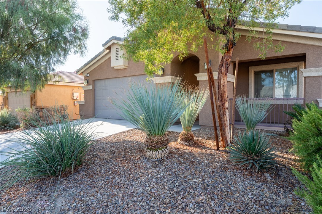 8079 Buffalo Ranch Avenue Las Vegas, NV 89147 - Photo 4 of 29 Desert plantings accent the stucco exterior and tiled roofline of this single-story home.