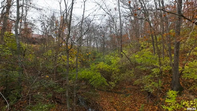 $1,000,000 | 41493 335th Avenue, Griggsville, IL 62340