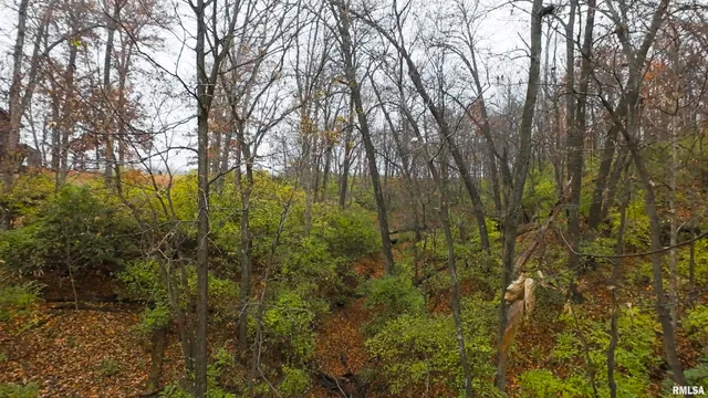 $1,000,000 | 41493 335th Avenue, Griggsville, IL 62340