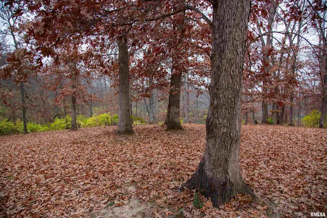 $1,000,000 | 41493 335th Avenue, Griggsville, IL 62340